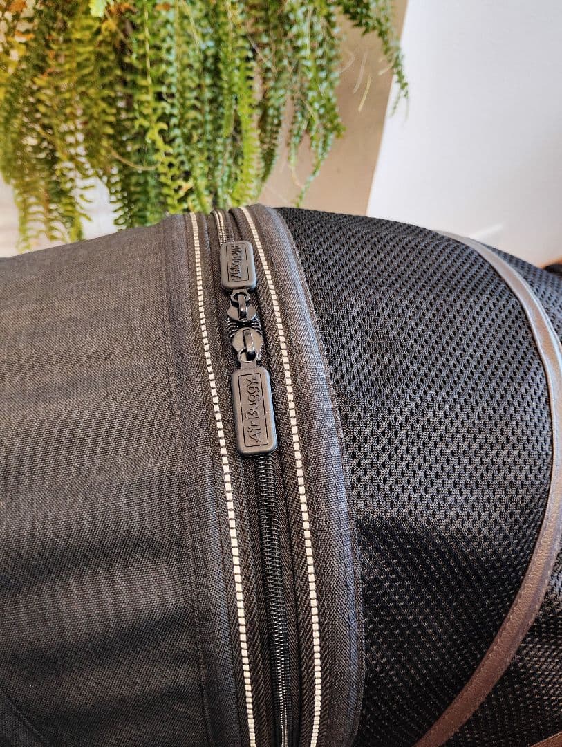 エアバギー×Mercedes-BenzDOME2 M