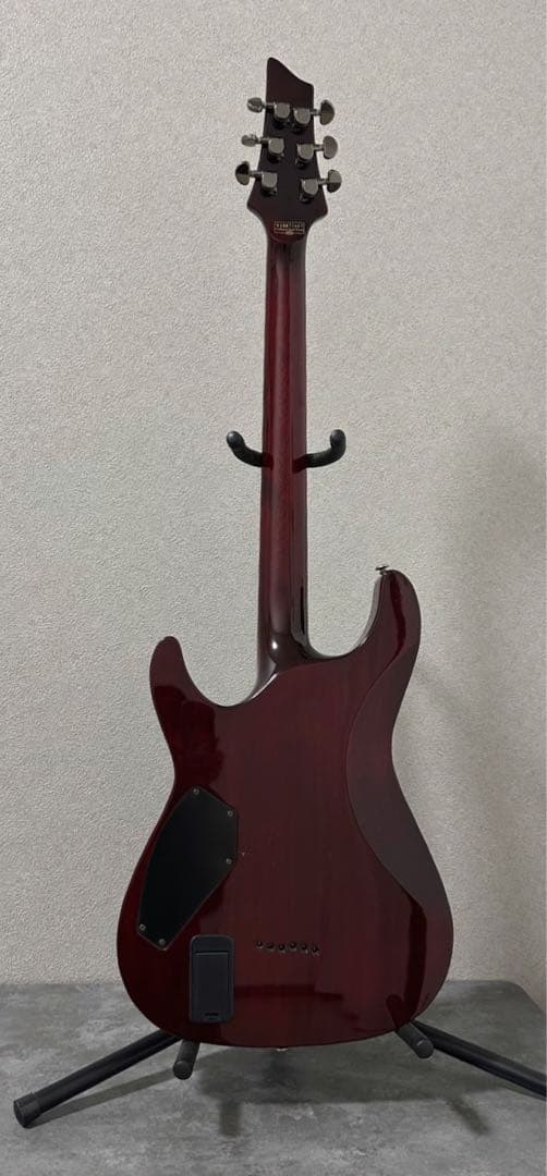 SCHECTER HELLRAISER AD-C-1-HR シェクター