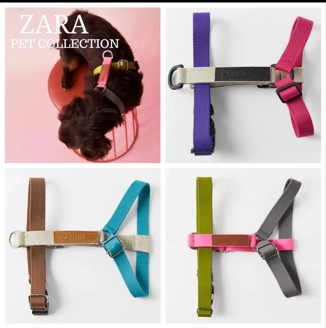 ZARA ペットコレクション　犬　リード　ハーネス