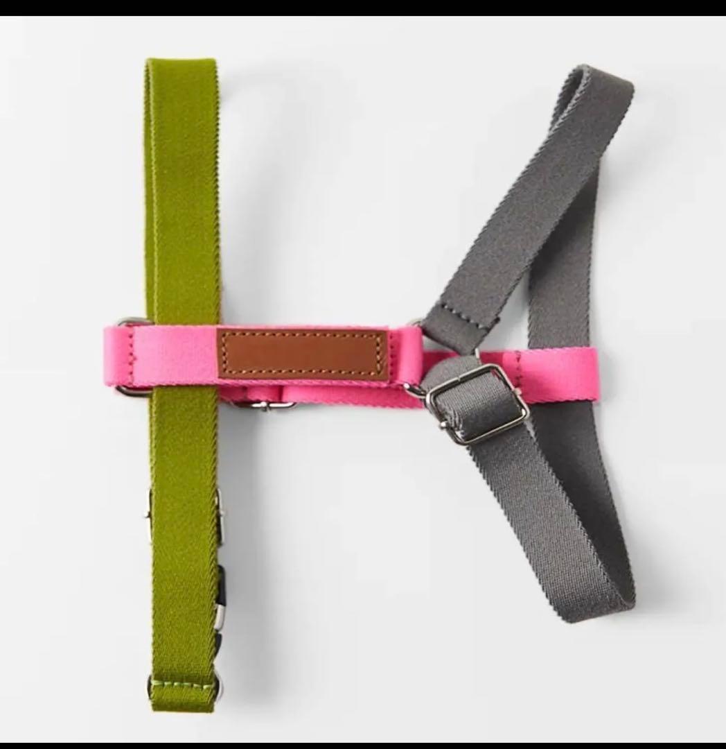 ZARA ペットコレクション　犬　リード　ハーネス