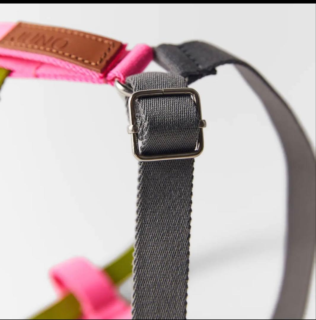 ZARA ペットコレクション　犬　リード　ハーネス