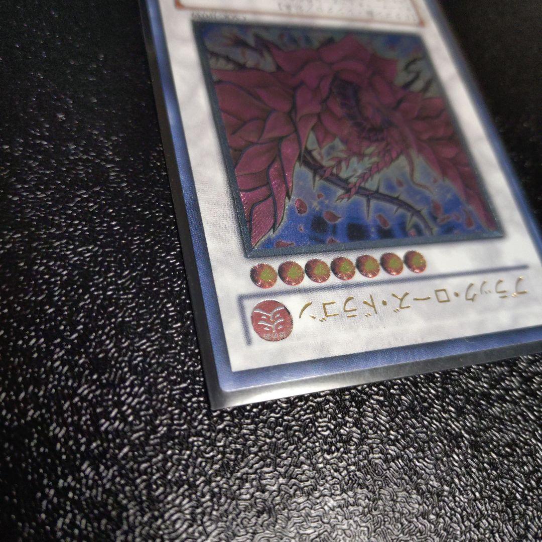 ブラック・ローズ・ドラゴン　レリーフ