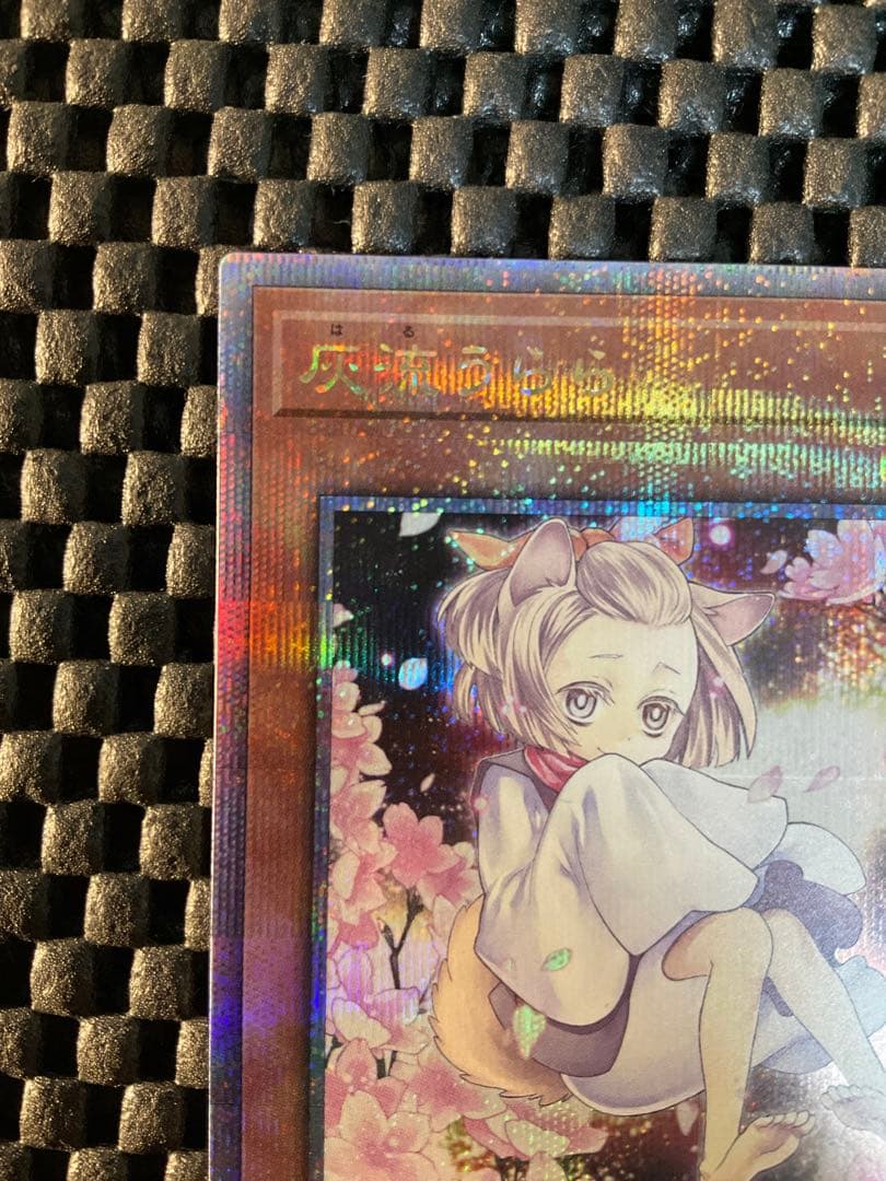 遊戯王 灰流うらら 絵違い 25th クオシク QCAC