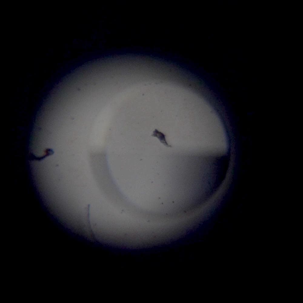 8mmカメラ ミノルタ XL-400 希少品 アンティーク 通電動作OK