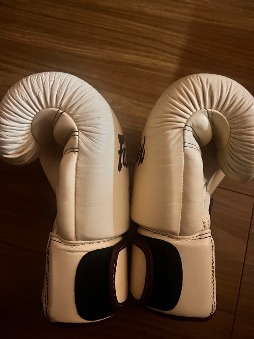 Fairtex フェアテックス グローブ 10oz