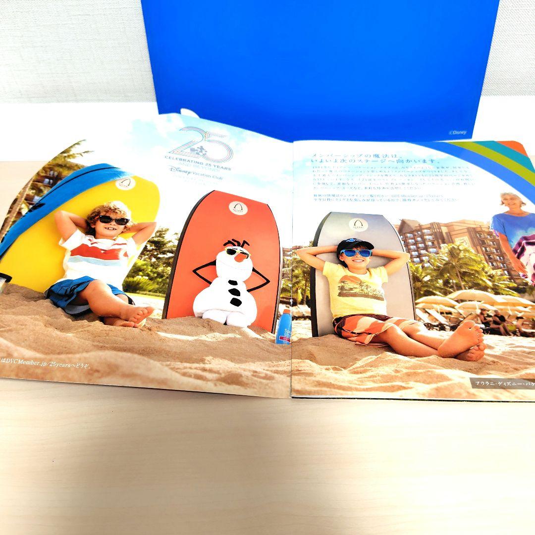 DVCリトグラフ＆25周年パンフ＆スティッチパンフ＆ステッカー＆ミッキーお箸