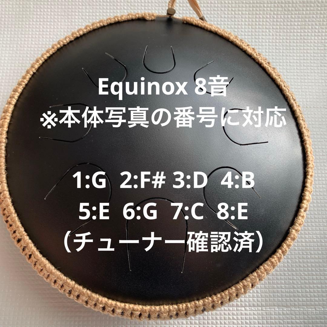 グーダドラム　 両面 オーロラ/イークイノックス　専用バック・マレット付き
