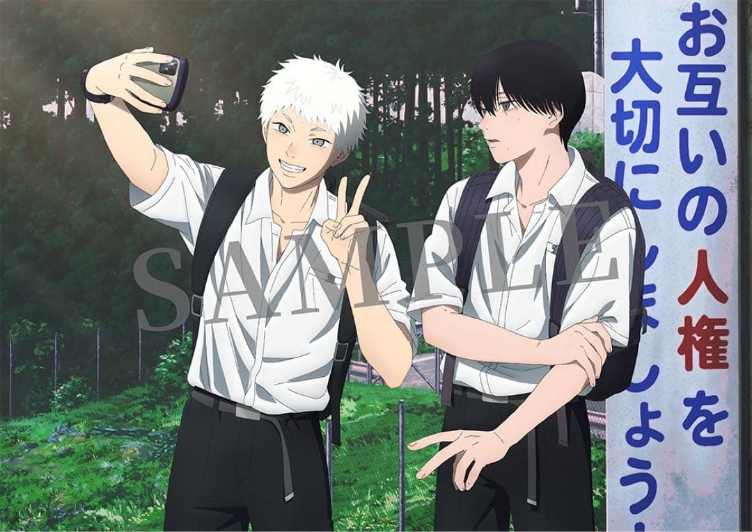 光が死んだ夏 A4ポートレート DVD アニメイト 全巻購入特典