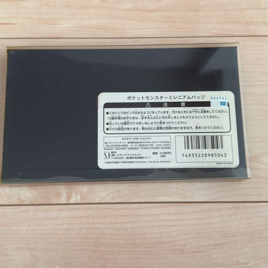 【希少】ポケットモンスター ミレニアムピンバッジセット　2000年