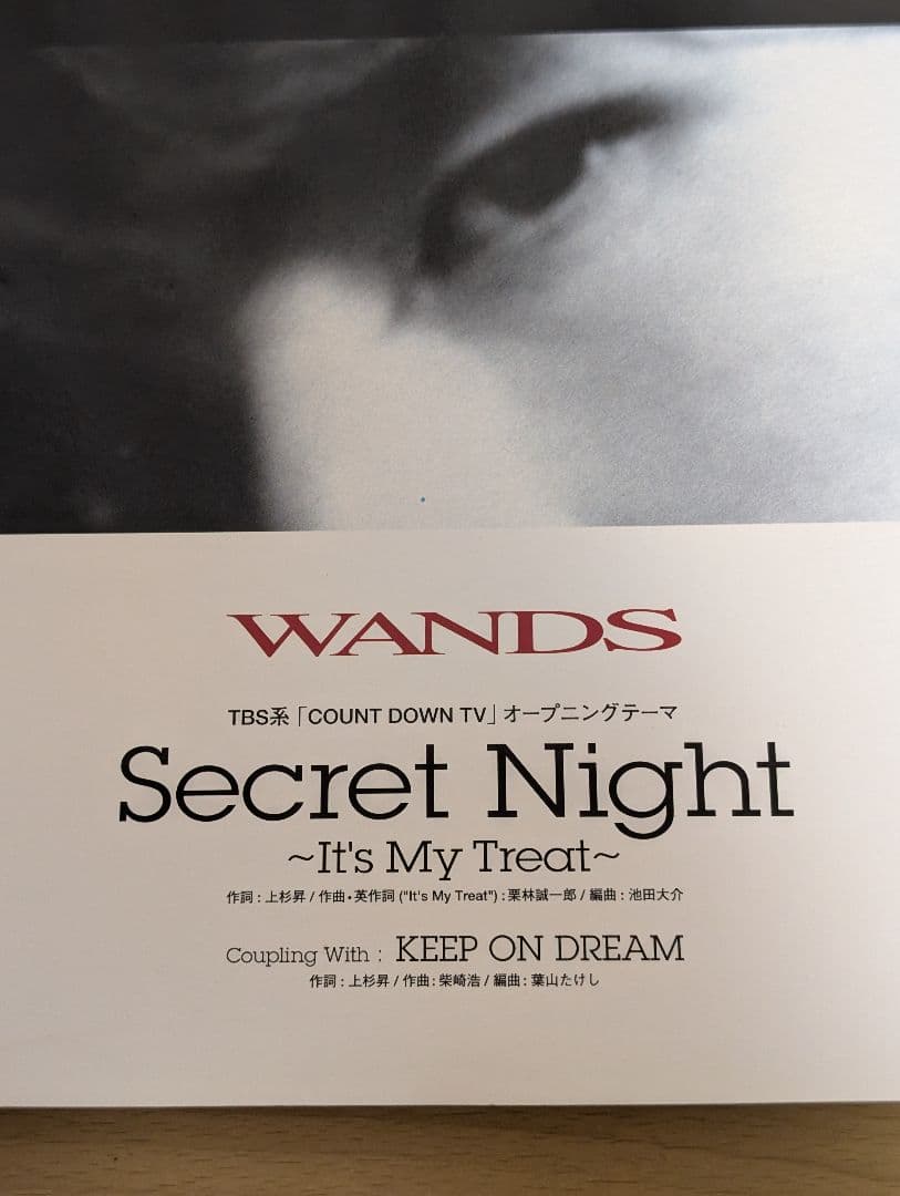 超希少　激レア　WANDS Secret Night 　スタンド型　ポスター