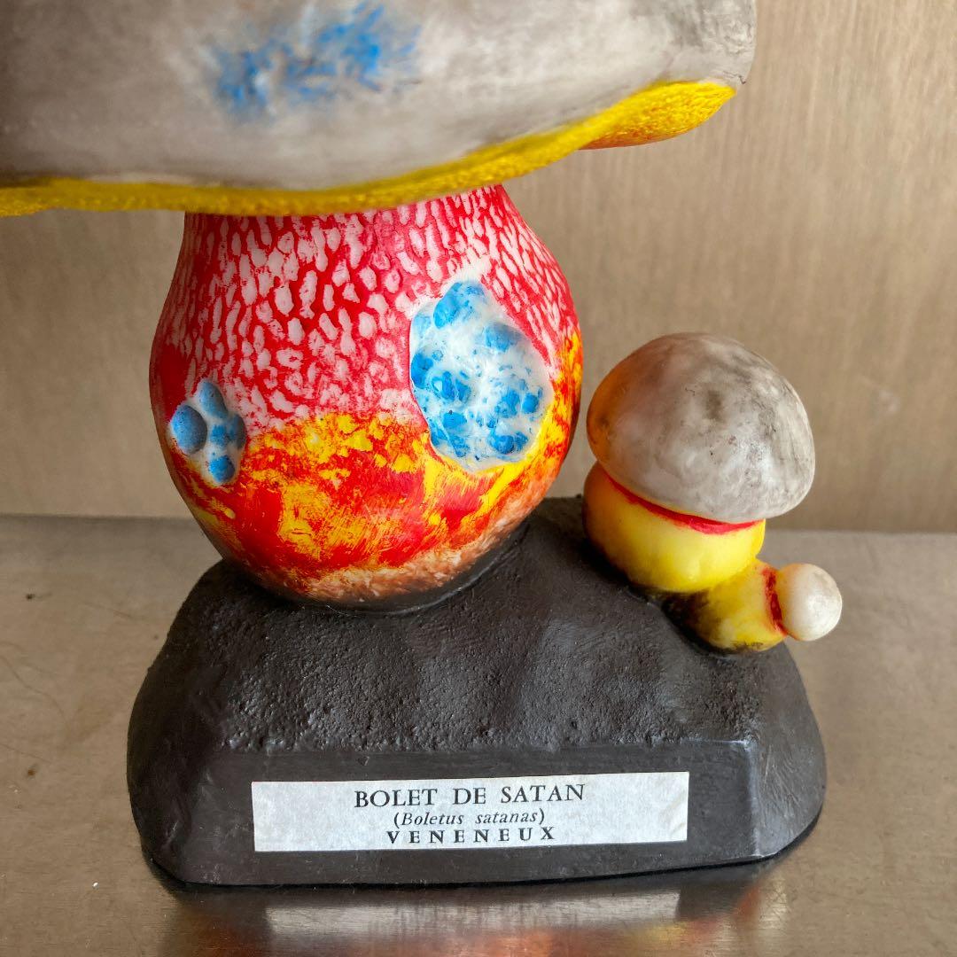 フランス　ビンテージ　毒キノコ模型　アンティーク　理科系