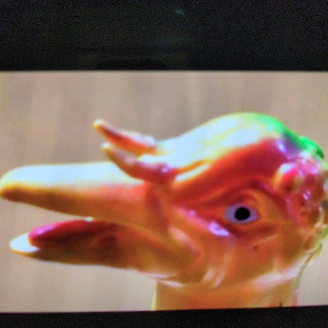 ブルマァク.ソフビ.テロチルス。