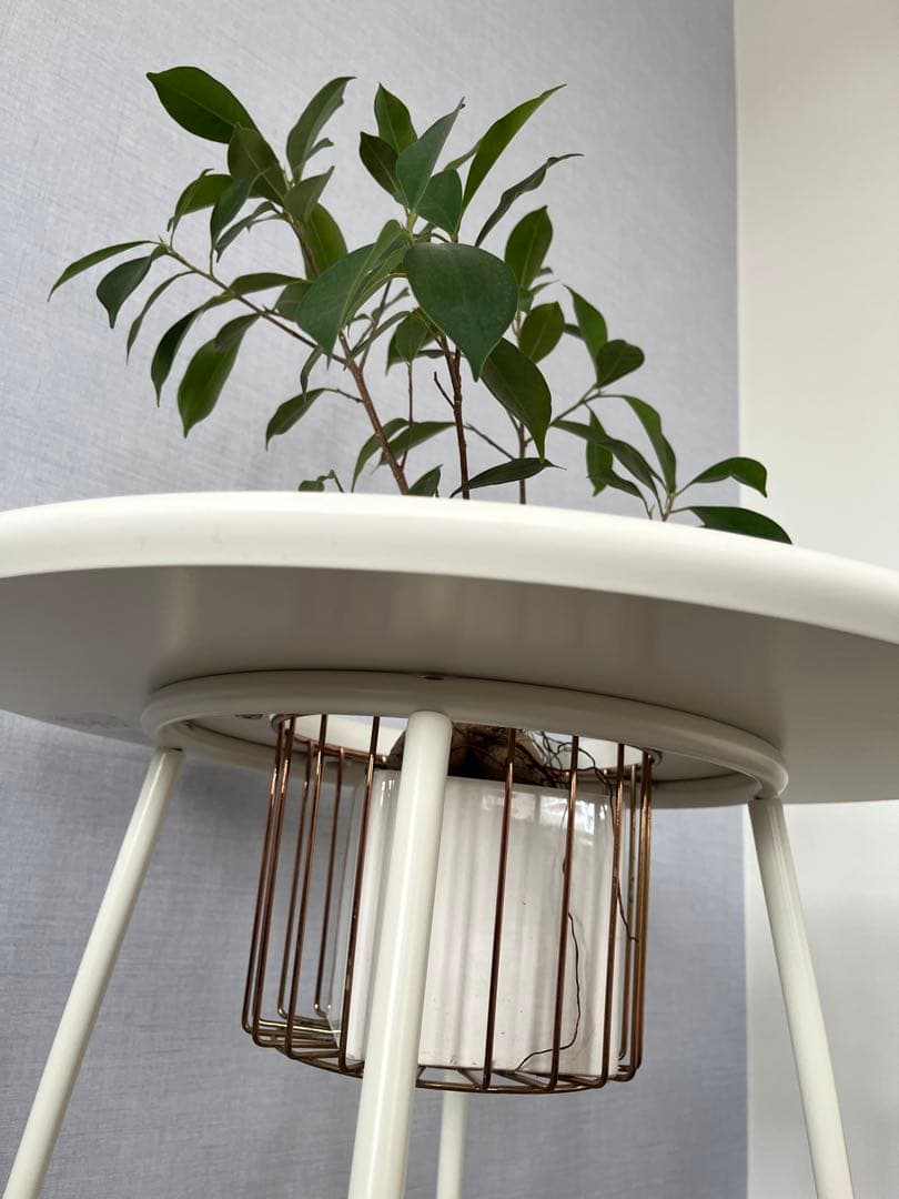 【値下げ中】KANADEMONO 「暮らし」×「グリーン」　サイドテーブル白