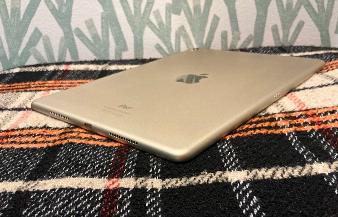 美品 iPad Pro A1673 本体 256GB 9.7インチ WiFi