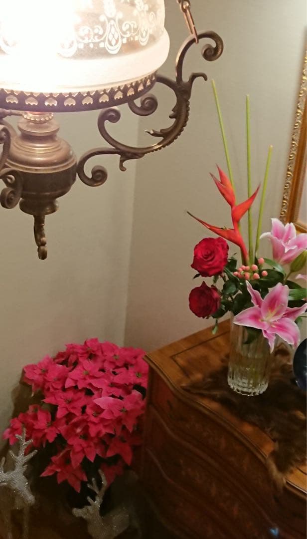 ｉＬｕｍ　イルム シャンデリアとシーリングメダリオン