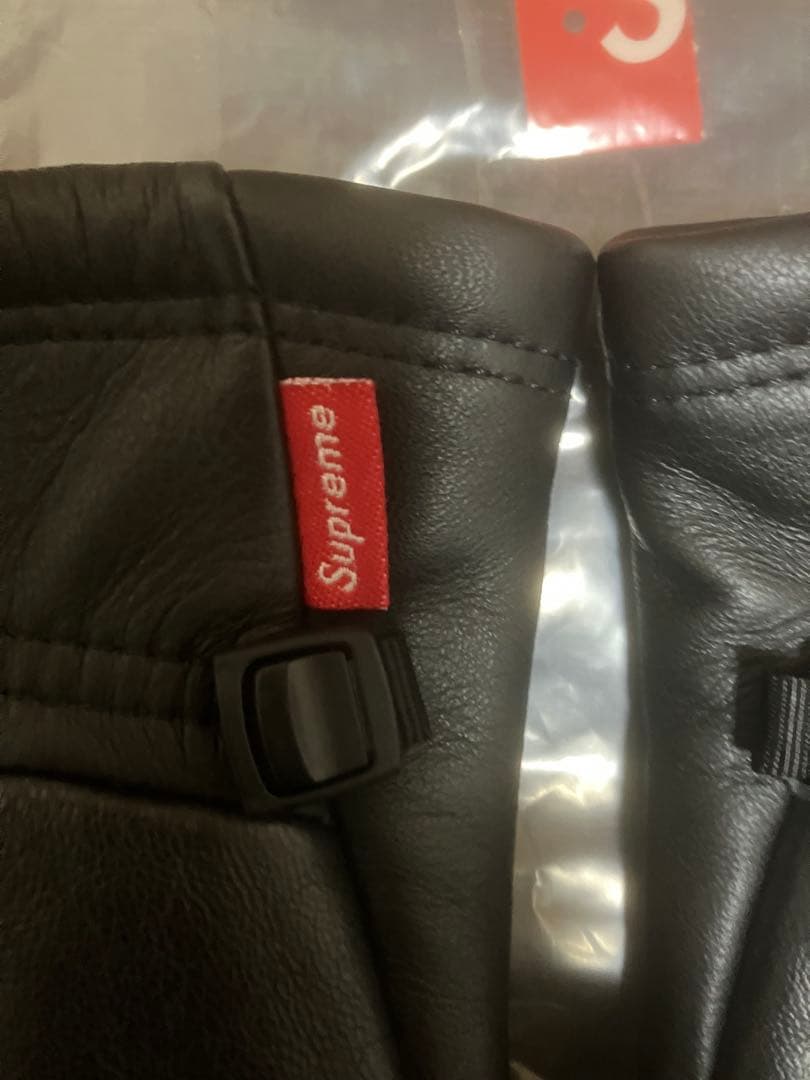 s*1様 THE NORTH FACE LEATHER IL SOLO GLOV