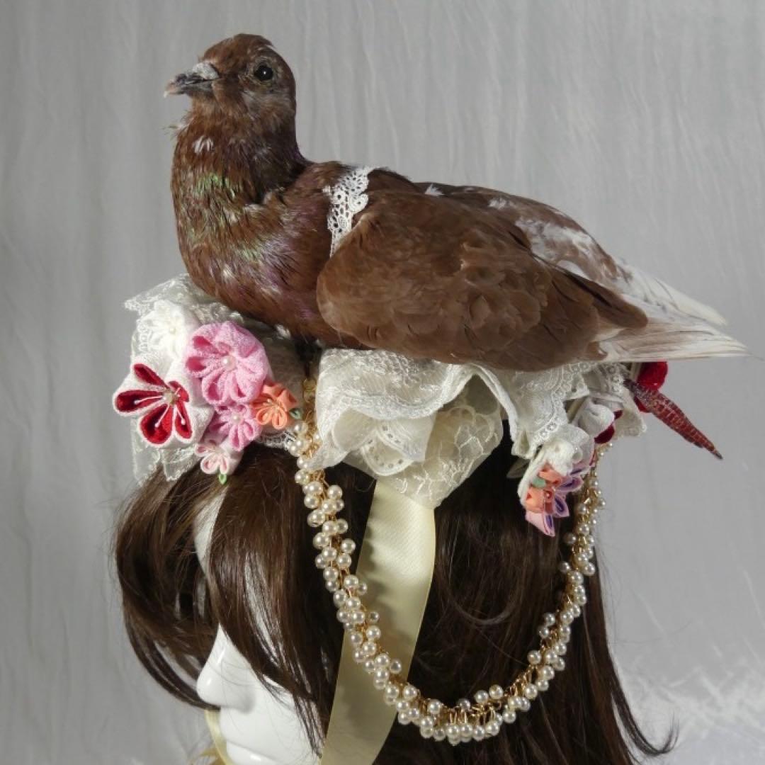 鳩のヘアアクセサリー　ヘッドドレス　レース　パール
