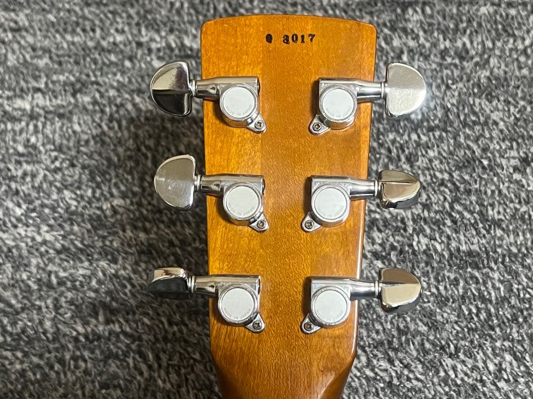 【希少】Greco D-80P？アコースティックギター 美品