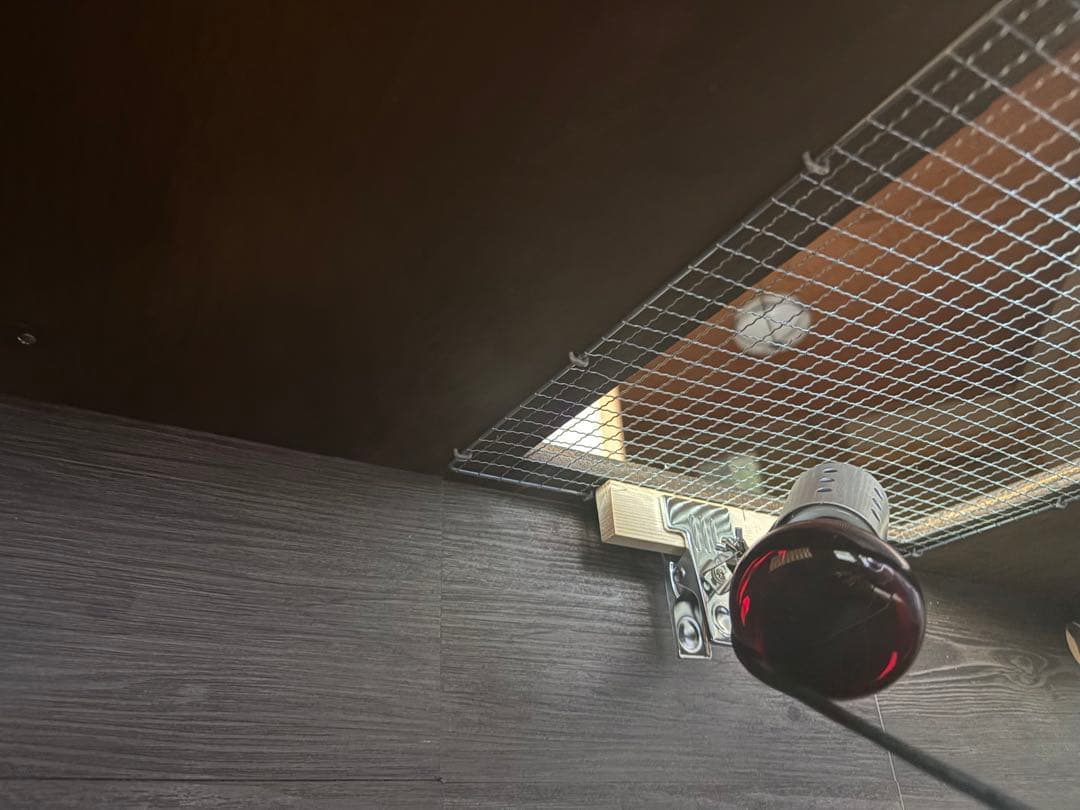 爬虫類ケージ90×50×45 フトアゴ、リクガメ、ハリネズミ　最終値下げ