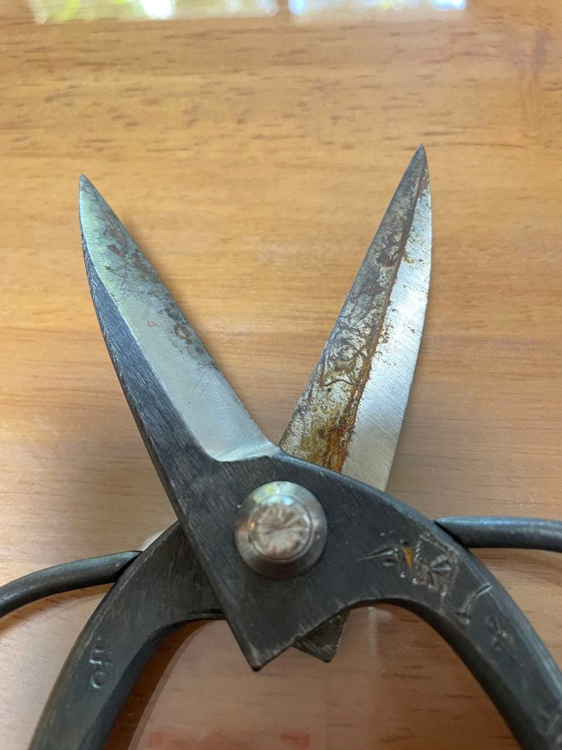 菊一文字　鋏　植木鋏　はさみ