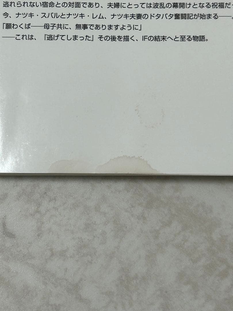 限定品！　Re:IFから始める異世界生活