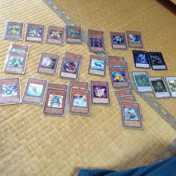 カエルデッキ値段提示可