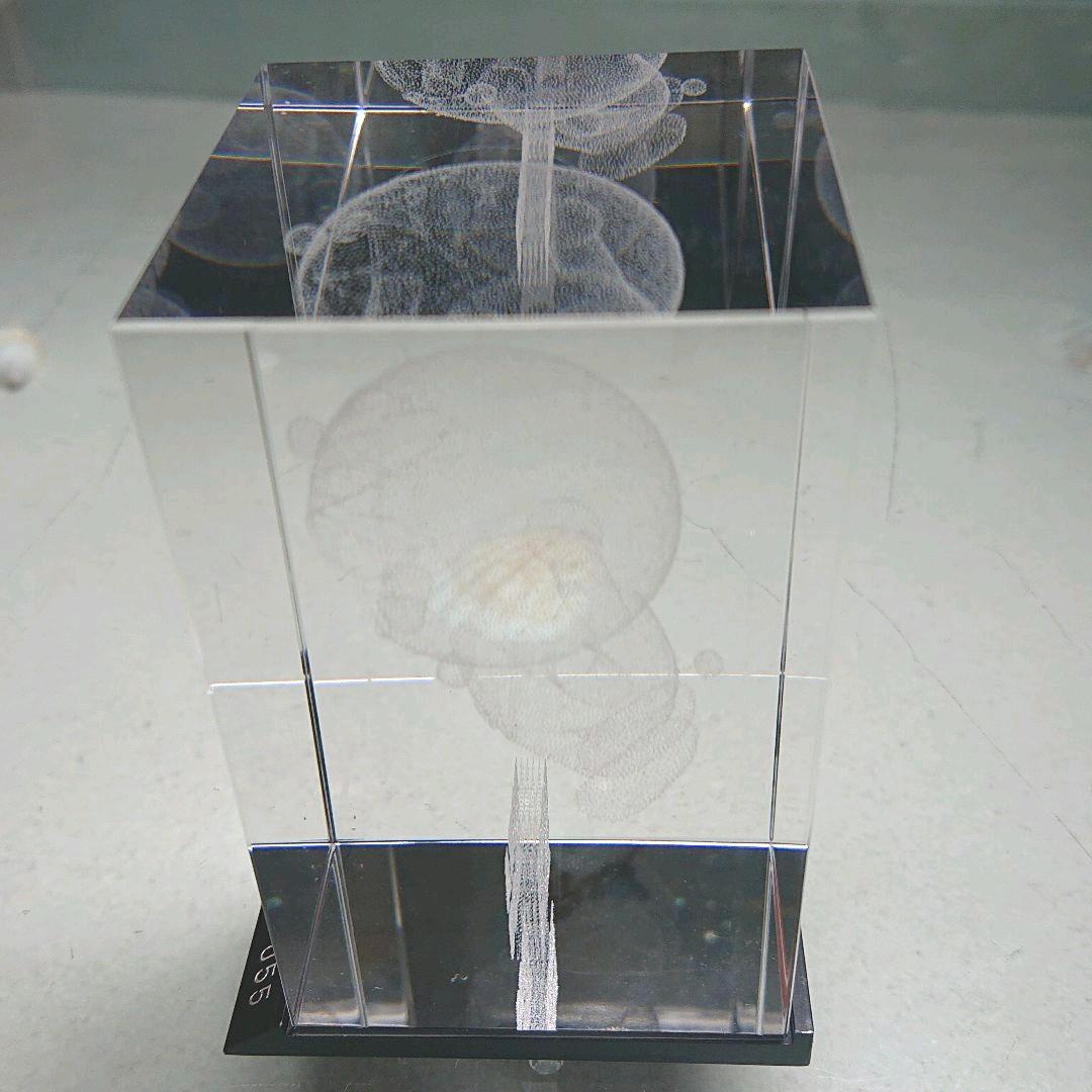 ドラえもん クリスタルコーブ 激レア