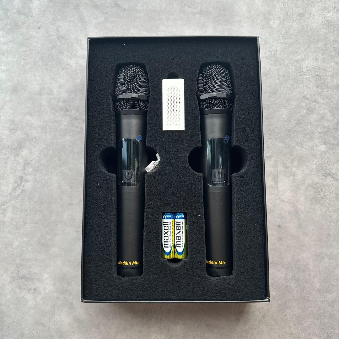 【未使用品】Aladdin Mic ダイナミックマイク 2本セット