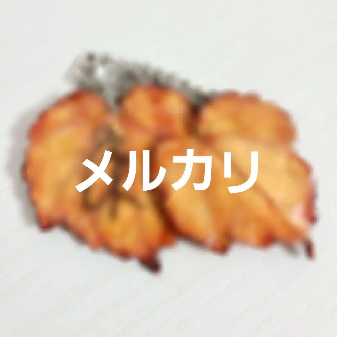 Kagrra CROW 一志 ネックレス イヤリング