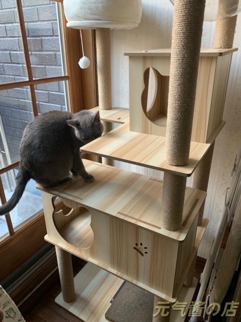 キャットタワー 170cm 6 段宇宙船 大型猫用 木製 多頭飼い