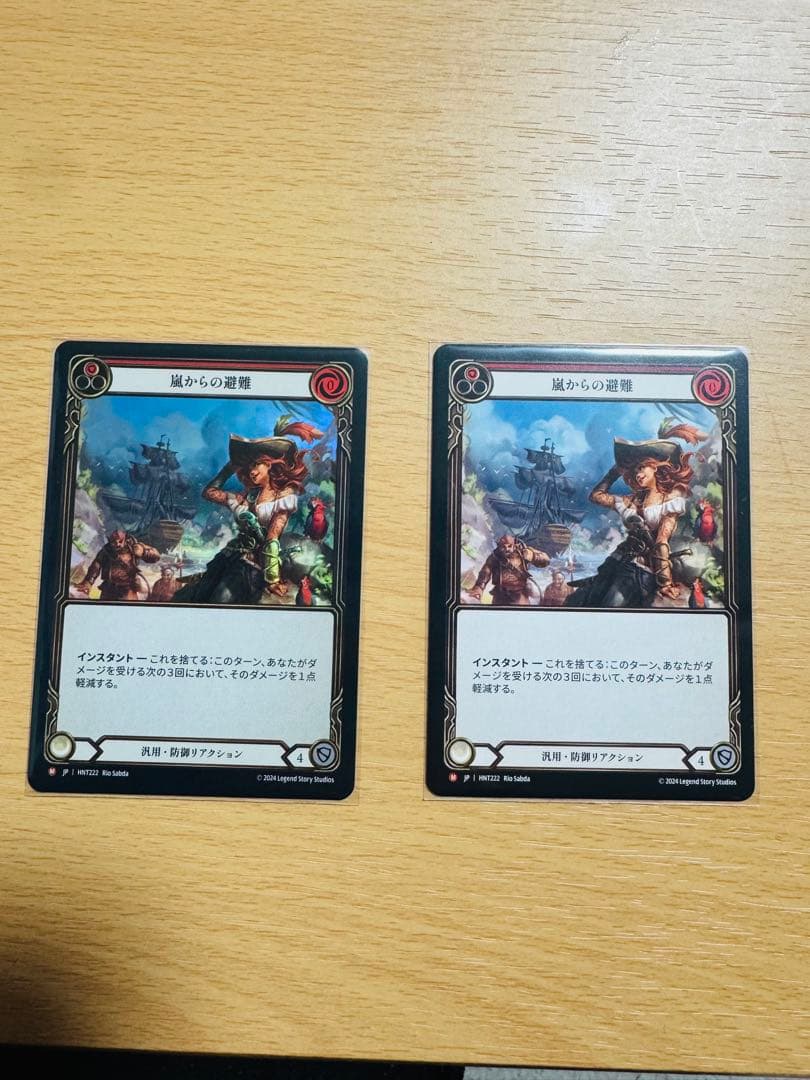 嵐からの避難 2枚 日語 flesh and blood RF