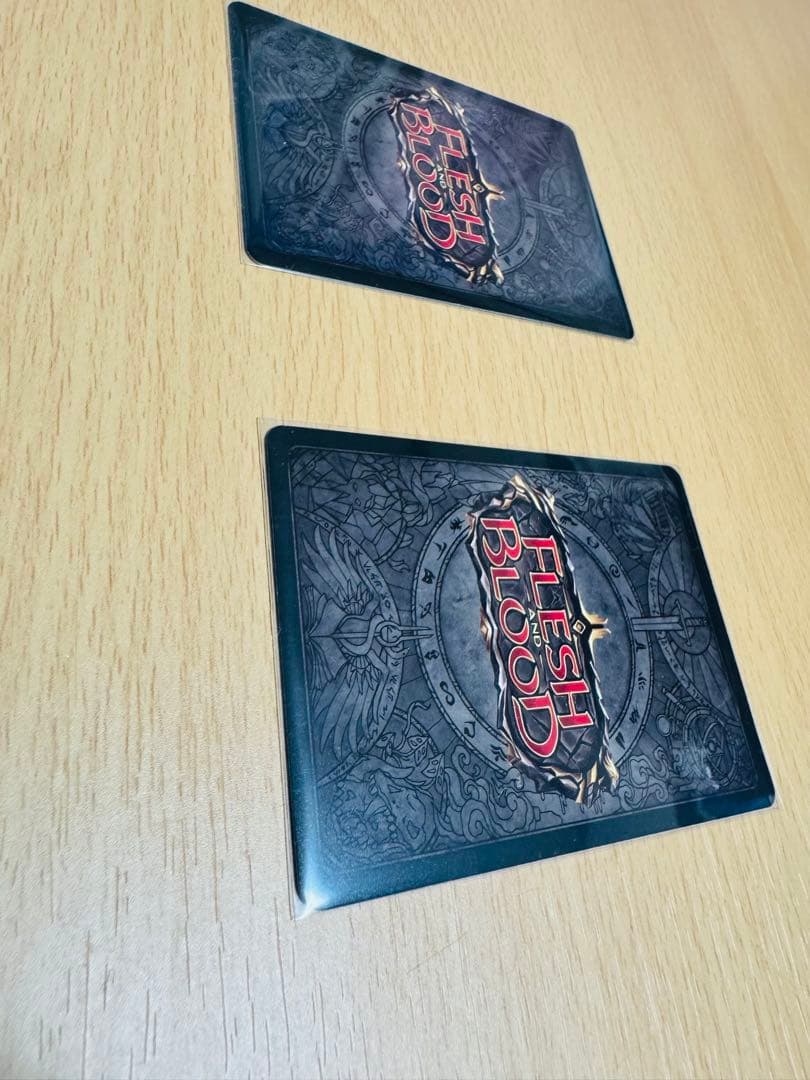 嵐からの避難 2枚 日語 flesh and blood RF