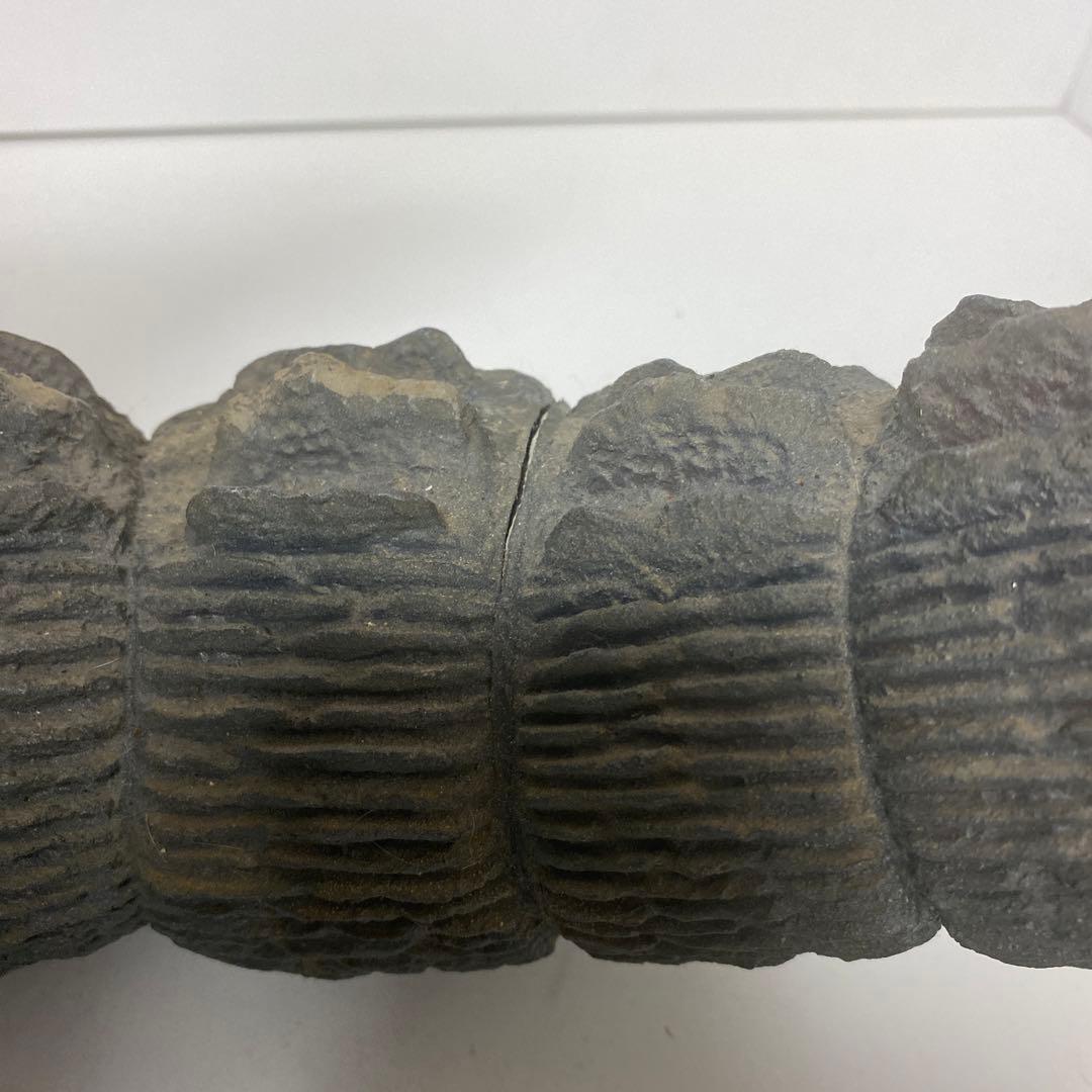 【伝説の名作】キンゴジ イノウエアーツ レジン キャスト製 完成品　8-132