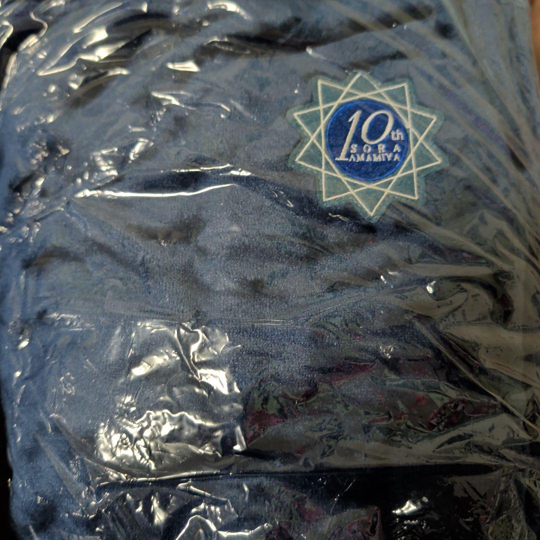 雨宮天 バブ着 上下セット XLサイズ　10周年記念　ルームウェア