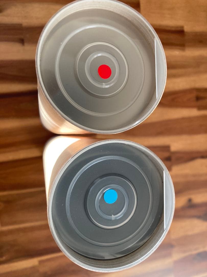 井上雄彦 親鸞聖人 イベント限定ポスター 2種セット