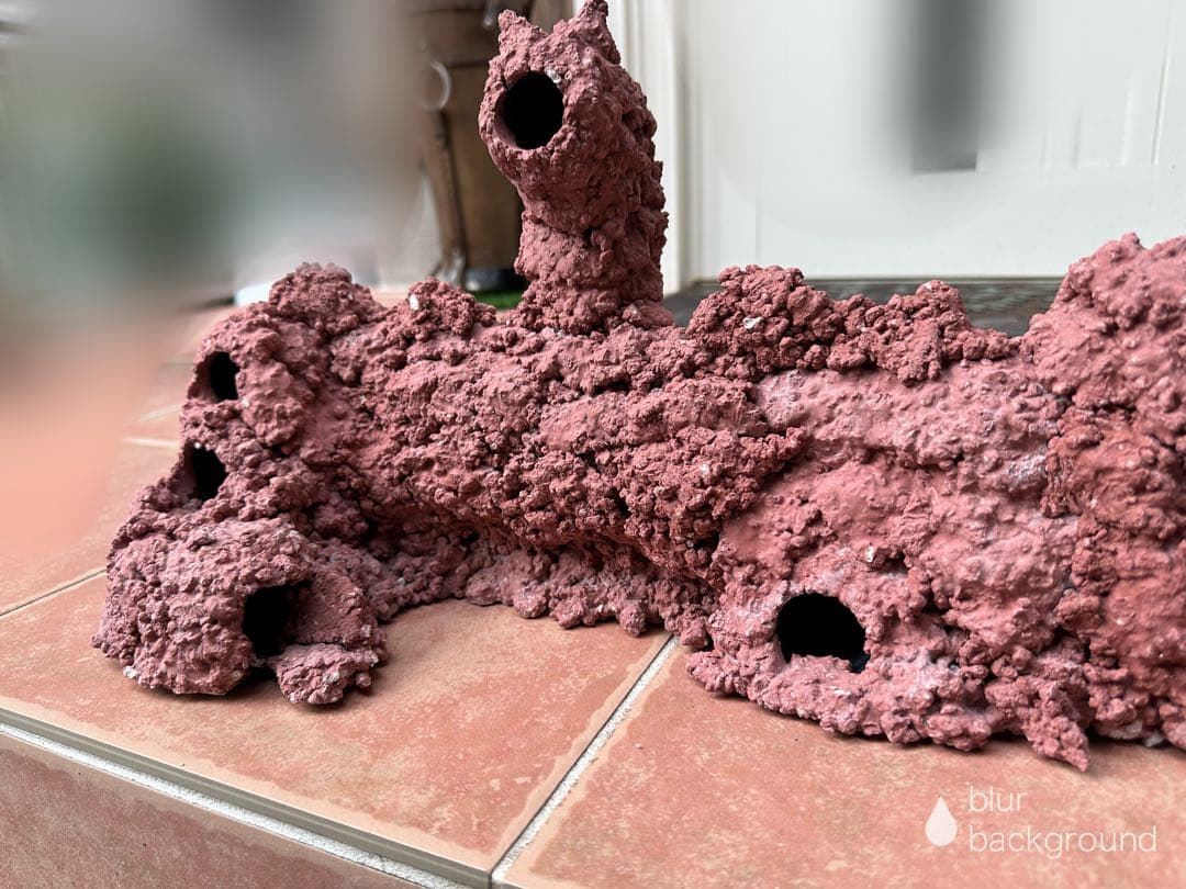 人工ライブロック　海水魚