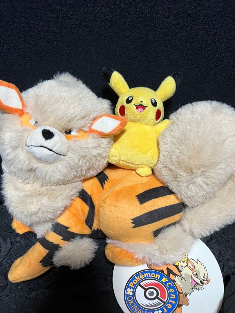 新品　ぬいぐるみ　ポケモンセンターオキナワ