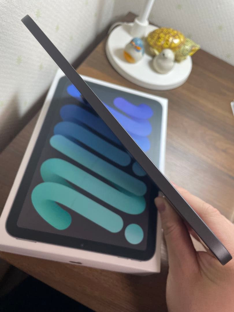 美品iPad mini (第6世代) + Apple Pencil (第2世代)