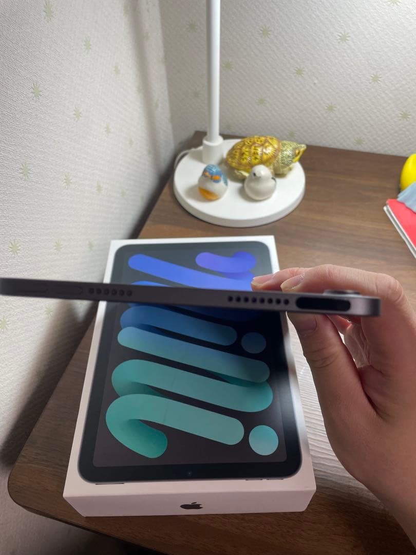 美品iPad mini (第6世代) + Apple Pencil (第2世代)