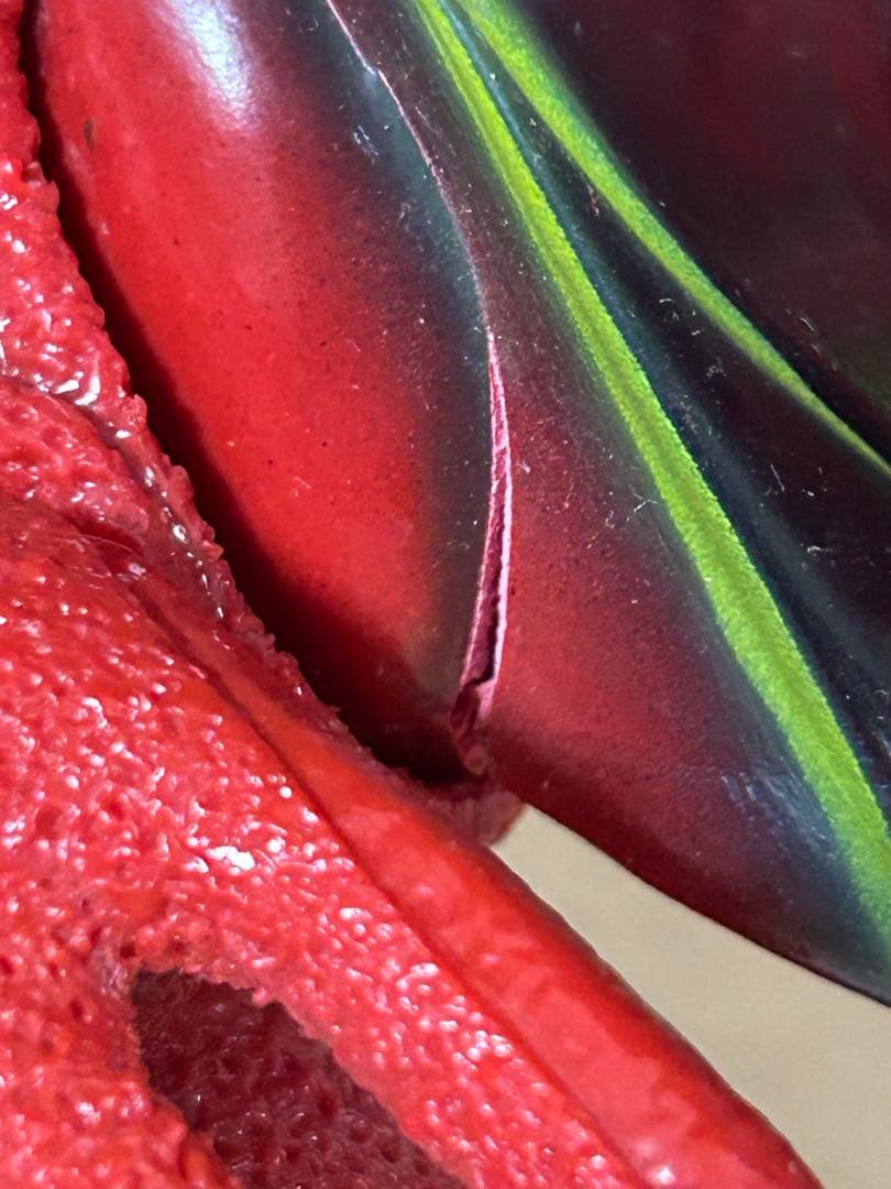 グレートモンスターシリーズ　ソフビ　フィギュア　バランガス　シラリー　2種