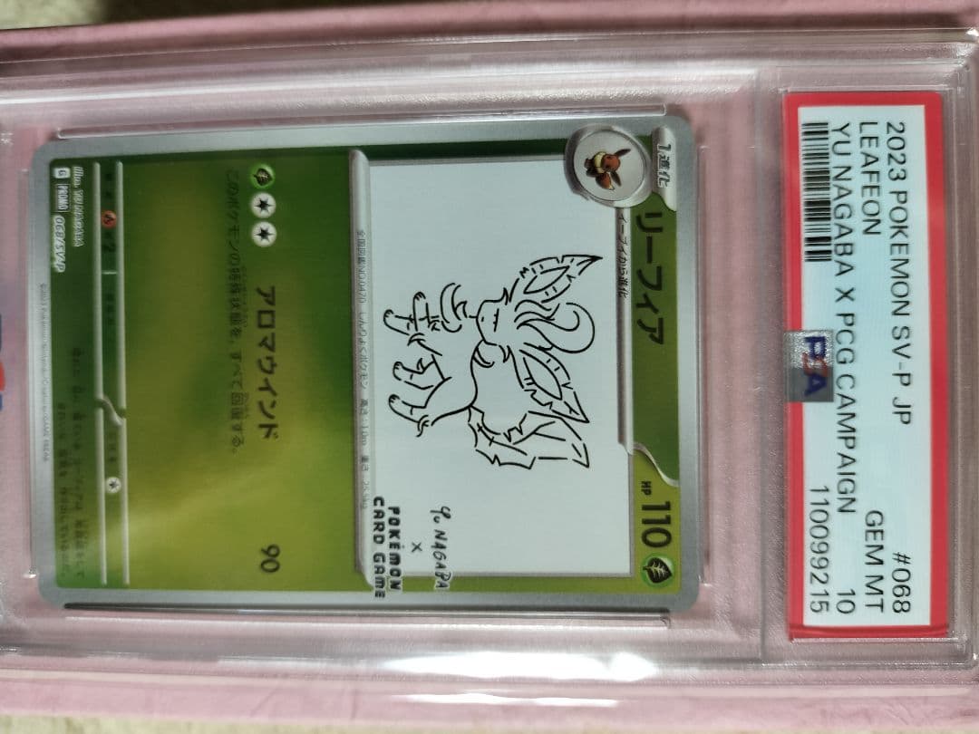 ロストアビス、インフェルノX、ナイトワンダラー、リーフィアsv-p 10