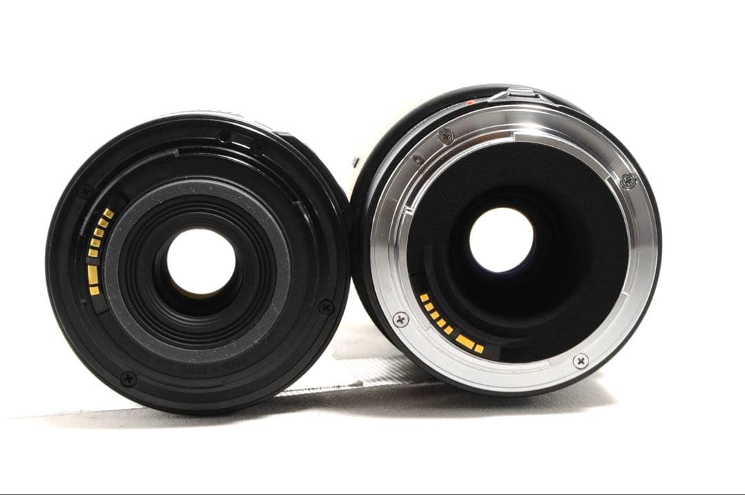 【新品級】旅行・運動会・野鳥も❤️Canon Kiss X7i❤️ダブルレンズ