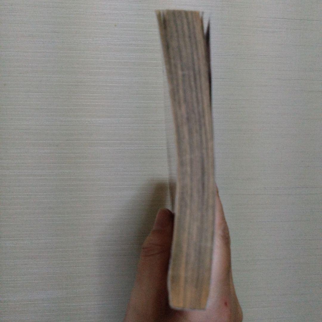 闇は集う 夜に消える翼　なかよし平成11年3月号別冊ふろく　松本洋子