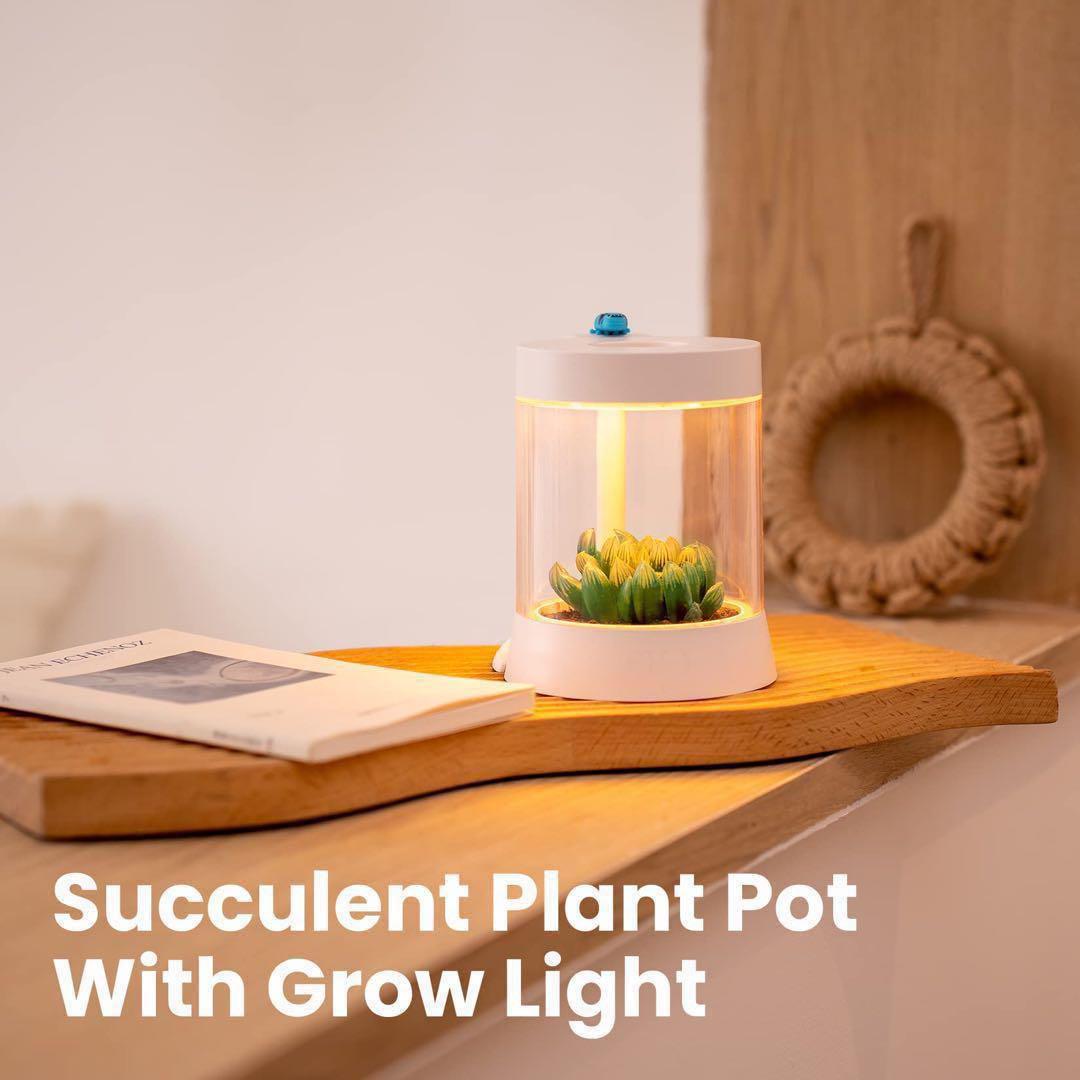 癒し植物ナイトライトグロウライト付き多肉植物の鉢 植物育成 LED USB