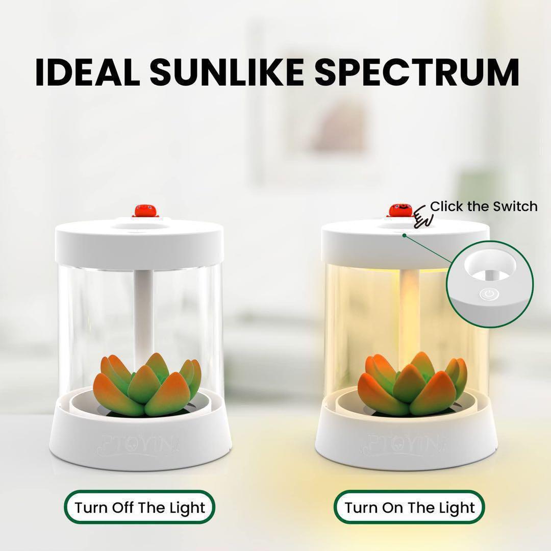 癒し植物ナイトライトグロウライト付き多肉植物の鉢 植物育成 LED USB