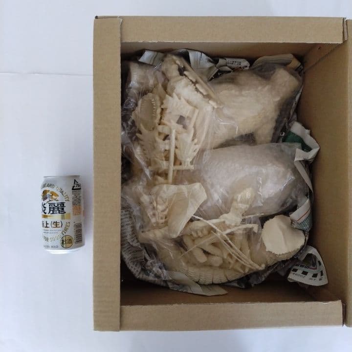 浅井造型 南海の大決闘 ゴジラ 対 エビラ 大海原の凱歌