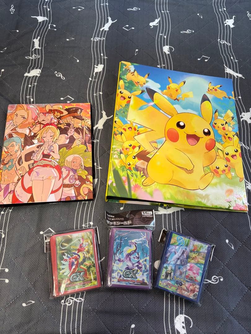 ポケモンカードコレクション　引退品