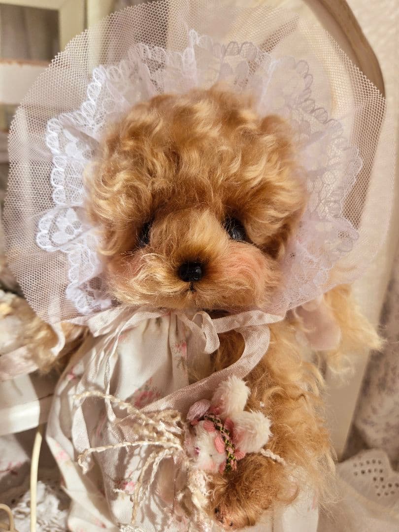 カーリーモヘアのトイプードルちゃん.*・゜特別なset₊˚⊹ ʚɞ テディベア
