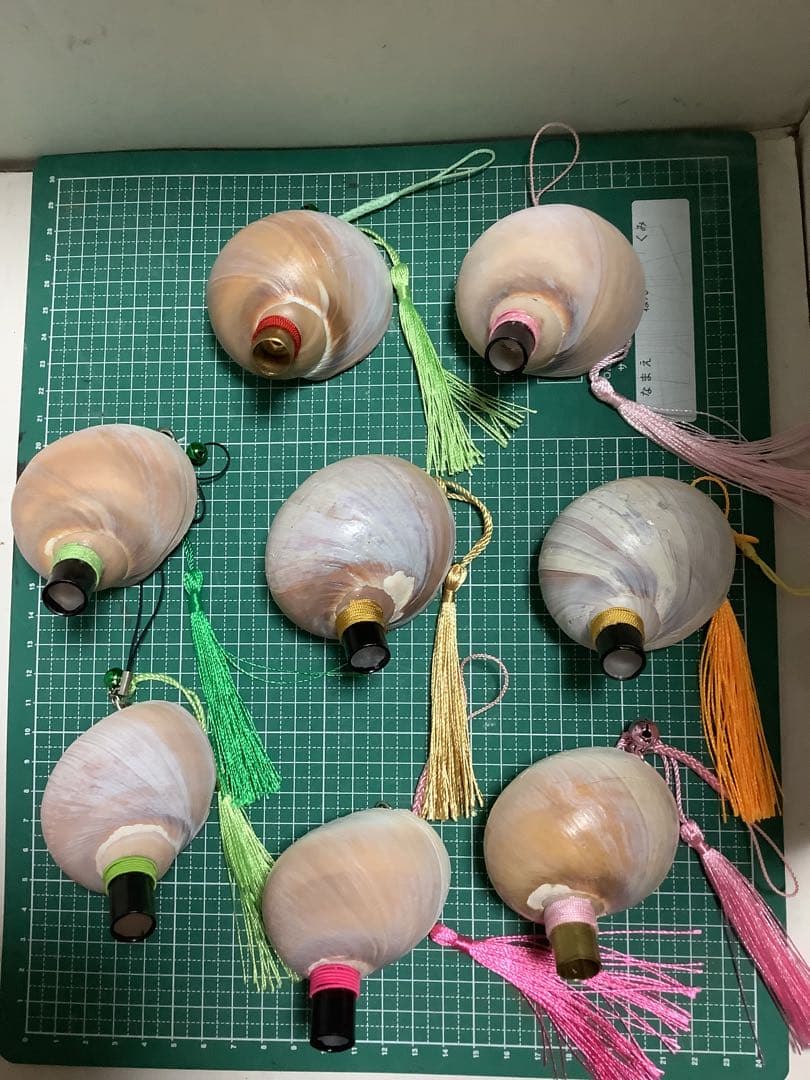 ヤフメリ39・ツメタガイ・法螺貝・山伏・修験者・金峯山・羽黒山・戦国武将・国宝