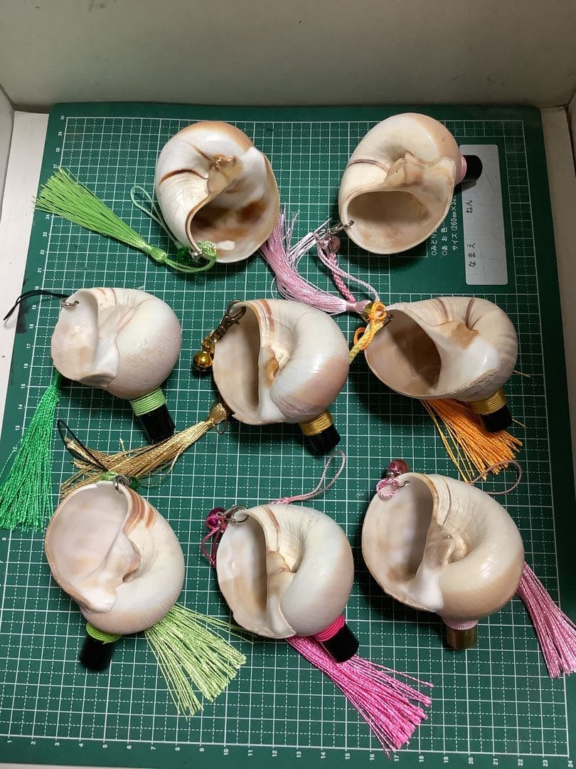 ヤフメリ39・ツメタガイ・法螺貝・山伏・修験者・金峯山・羽黒山・戦国武将・国宝